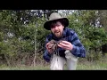 The Marine Science of Estuaries