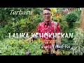 Download Lagu LALIKA KEHOKHEKAN //lagu Lampung //voc:Kanda Firman//cipt: Yusuf Rs//arr:Dean key