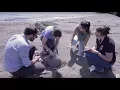 Environmental Specialist What I do how much I make Part 1 Khan Academy