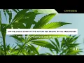 Ayr Wellness Competitive Advantage Begins In The Greenhouse