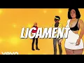 CHARLY BLACK, GAGE, RENEE 6:30 - LIGAMENT