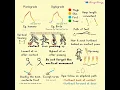 Biped Walk Cycle Tutorial - Animation Tutorial