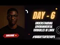 Day 6 Understanding Environmental Variables in Linux