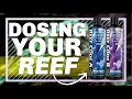 When Should You Start Dosing 2-Part In Your Reef Tank