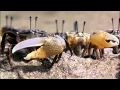 Evolution - Part 2 of 7