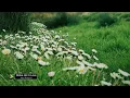 Alex Keeper - Woke Up in Love