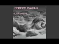 Seperti Cawan