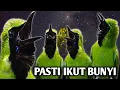 Download Lagu TERAPI CUCAK IJO BAHAN, biar rajin bunyi cepet nyaman MP3