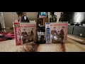 Download Lagu The Beatles ● Vee-Jay Records ● Introducing The Beatles + Bonus ● Japanese CDs Edition ●