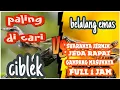 Download Lagu PALING DICARI | masteran kombinasi ciblek VS belalang emas
