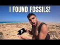 Download Lagu Camping for 2 NIGHTS - Exploring Caves \u0026 More! (Marsa Matrouh)
