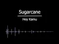 Download Lagu Sugarcane (2009) - Hey Kamu