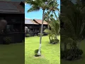 Molokai Shores Unit A211 FOR SALE