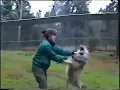 Download Lagu Une femme se bat contre un loup pour lui montrer qui est le chef