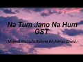 Na Tum Jano Na Hum OST(Lyrics) | Mujeeb Mustafa, Rahma Ali and Adrian David | Green Tv Dramas