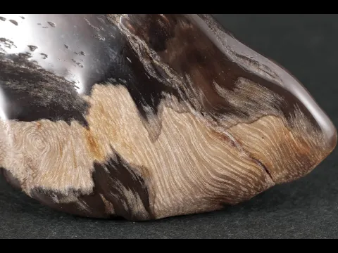 珪化木(木化石) タンブル 32.3g｜天然石・化石 通販 キラリ石