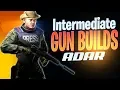 Intermediate Gun Builds - Adar Build