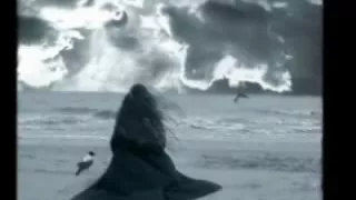 فرقة الشواهين الحربية أغنية يا شوق دندنها