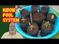 DIY Self-Watering Kiddie Pool Garden System - Easy Setup