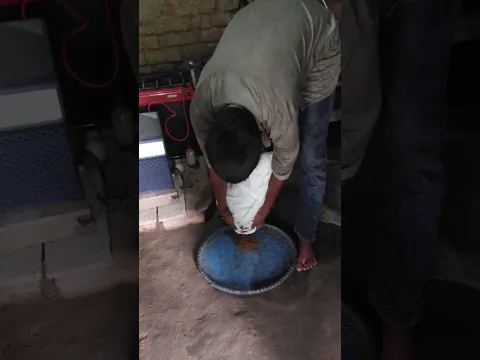 Chai, Fish and Routine#chailover #dailyvlog #morningroutine #minivlog #fishfeeding #lifestylevlog