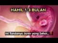 Download Lagu Tanda Janin Sehat di Trimester Pertama | Usia 1-3 Bulan!