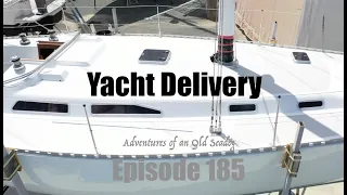 Yacht Delivery (Dolphins off the Starboard bow)