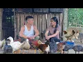 Download Lagu CEO Jack left the city for the forest with (tieu ly). Building a free life that everyone dreams of!
