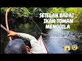 Download Lagu SETELAH BADAI REDA .. ENTAH MENGAPA IKAN DISUNGAI INI MENGAMUK .. !!! .. 😰😱 ..