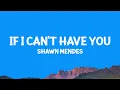 Download Lagu Shawn Mendes - If I Can't Have You (Lyrics)