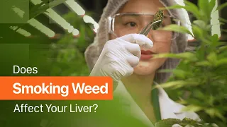 Does Smoking Weed Affect Your Liver