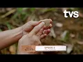 Download Lagu Negeri Santubong | Negeri yang Hilang dari Sarawak | EP 2 | TVS Entertainment