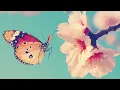 Relaxing Piano Music: Beautiful Sad Music, Soothing Music, Romantic Music, Stress Relief ★95