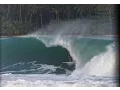 Nias