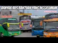 Lagu DAMRI Paling Keren‼️ Momen Libur Panjang Banyak Bus Bantuan Yang Ngga Biasa‼️