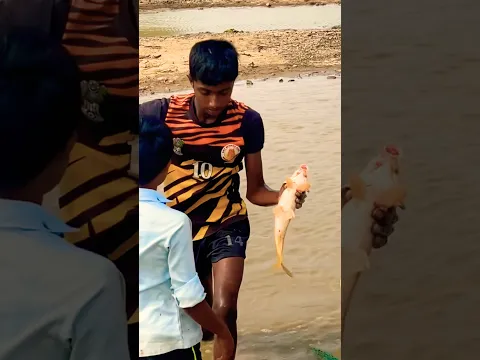 #village boys fish catching technique live #fishcatching #singlesfoodfactory #youtubeshorts #shorts