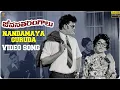 Download Lagu Nandamaya Guruda Video Song Full HD | Jeevana Tarangalu Songs | Sobhan Babu, Vanisri | SP Music