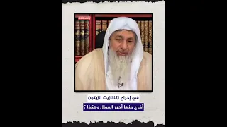 في إخراج زكاة زيت الزيتون    أخرج منها أجور العمال وهكذا      الشيخ مصطفى العدوي دندنها