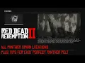 RDR2 All Panther Spawn Locations More Tips for Perfect Panther Pelt