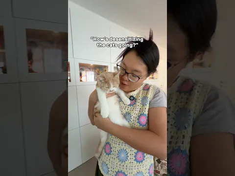 How we trained our cats