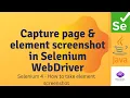 How to take Page Element screenshot in Selenium WebDriver 2025