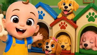 Puppy Dog - Puppy Dog | Animal Song for Kids | Nursery Rhymes & Kids Songs