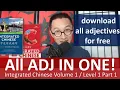 All the adjectives in Integrated Chinese Level 1 in one - Ultimate Vocabulary Cheat Sheet