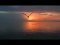 Pat Metheny & Pedro Aznar - Dream of the return (Subtitulos/HCP) Best New Version "Apoya el Video"