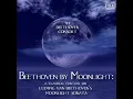 Classical Piano Suite, No. 12: Sonata 2