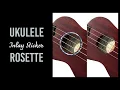 Ukulele Rosette Abalone Blue