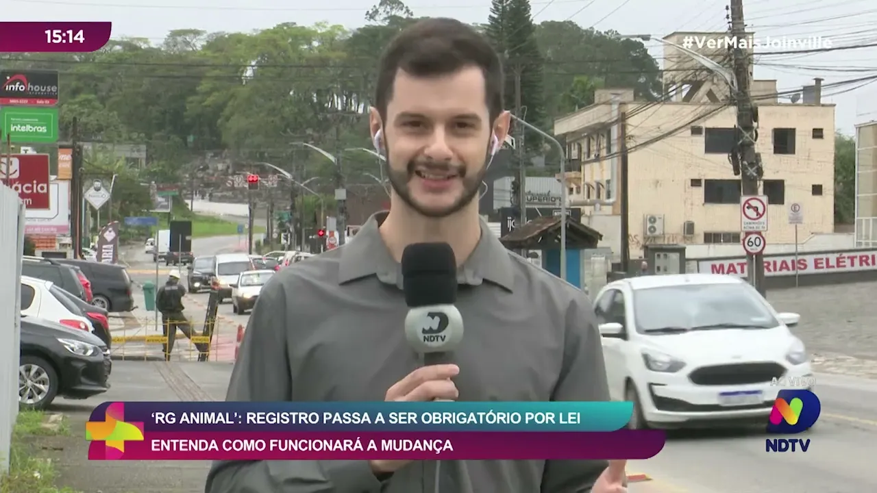 ‘RG Animal’: registro passa a ser obrigatório por lei entenda como funcionará a mudança