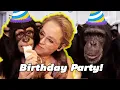 Lagu going to a chimpanzee birthday party!