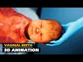 Download Lagu Vaginal Childbirth | 3D Animation
