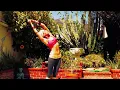 POWER YOGA HIIT Vinyasa flow All Levels 1-3 Intense Planks Core