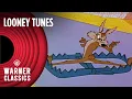 Looney Tunes | Classic Wile E. Coyote vs. Road Runner Mega Compilation | Vol. 6 | Warner Classics